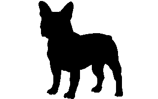 Bulldogg