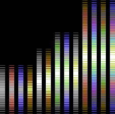 C64 palette stretching